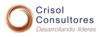 Crisol Consultores