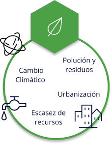 Servicios Sostenibilidad -Medio Ambiental - ESG