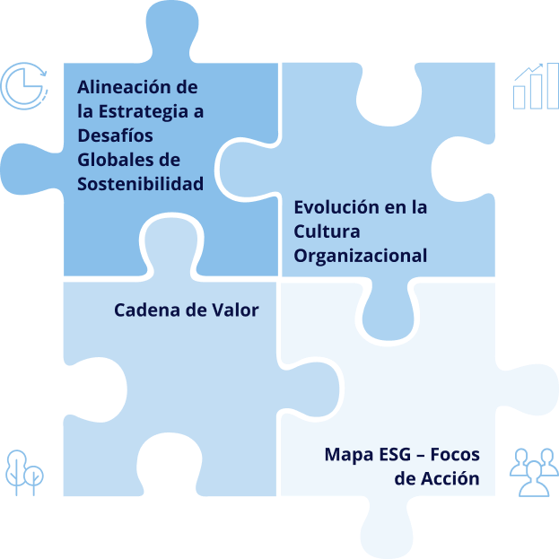 Servicios Sostenibilidad Empresarial e Innovación - Servicios